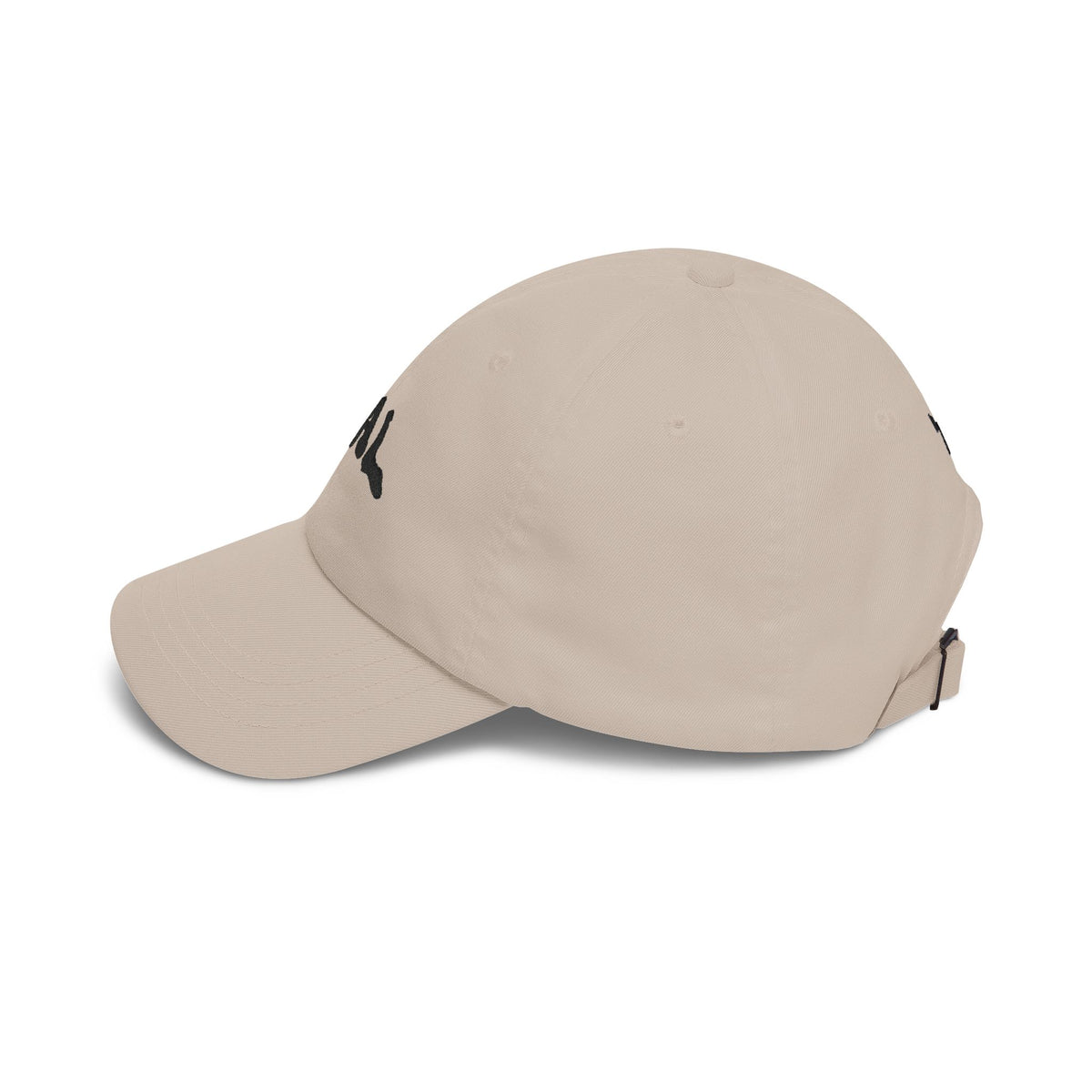 GAL Cap | Stone